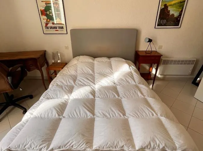 Spacieux En Face Du Port